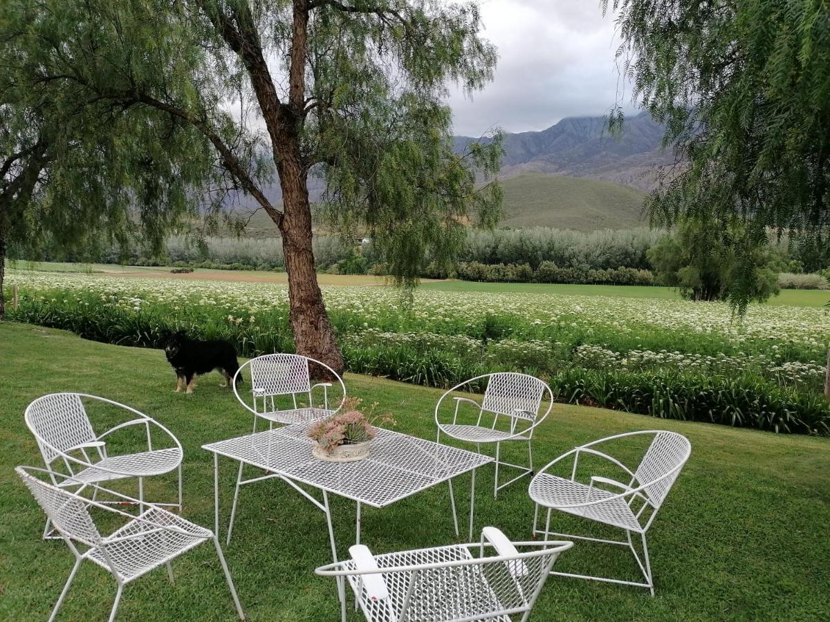 Blue Lily Retreat Bed & Breakfast Matjiesrivier  Exterior foto