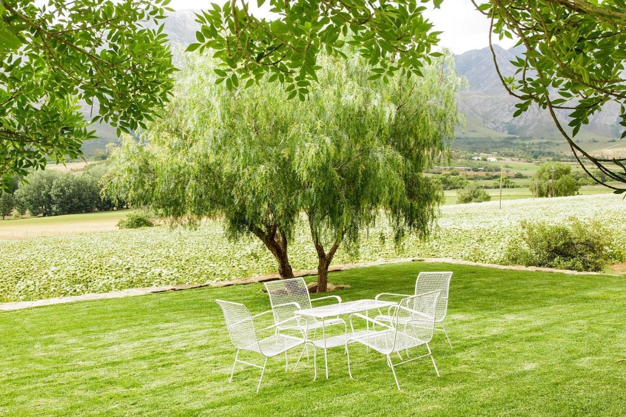 Blue Lily Retreat Bed & Breakfast Matjiesrivier  Exterior foto