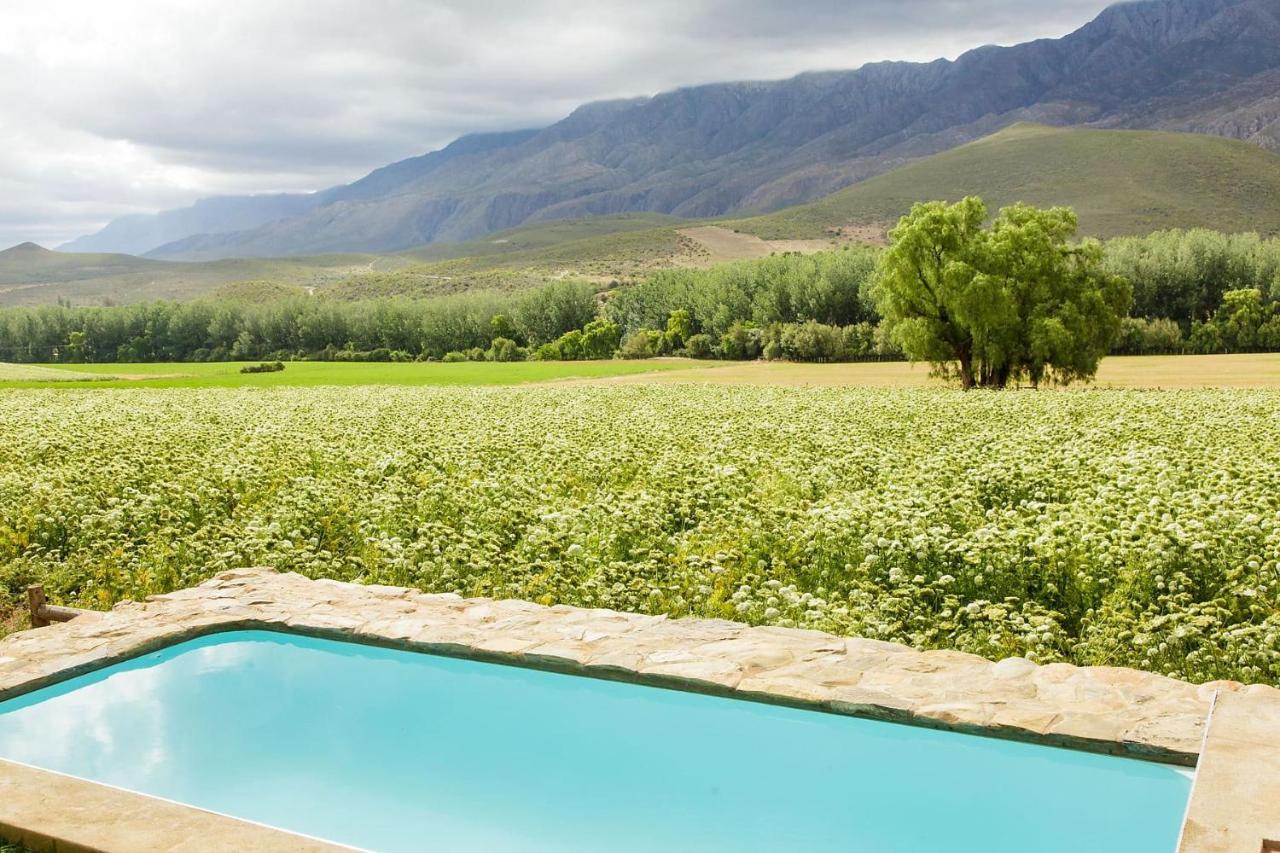 Blue Lily Retreat Bed & Breakfast Matjiesrivier  Exterior foto