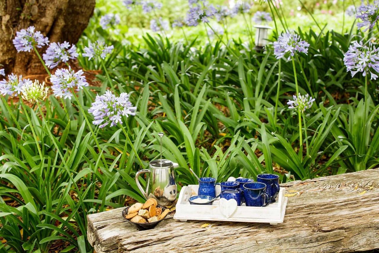 Blue Lily Retreat Bed & Breakfast Matjiesrivier  Exterior foto